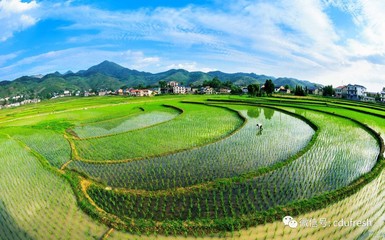 从水稻文化上如何做休闲体验产品设计。_其它_网