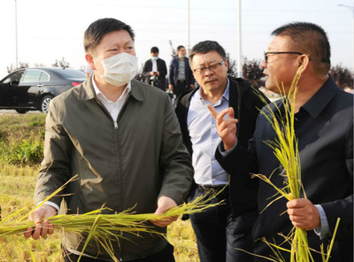 吉林市人民政府