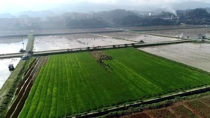 榕江车江坝区:让“马达”在山区“粮”田转起来